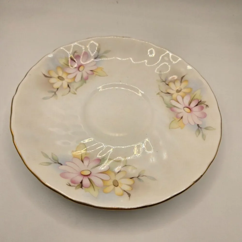 Hitkari delicate bone